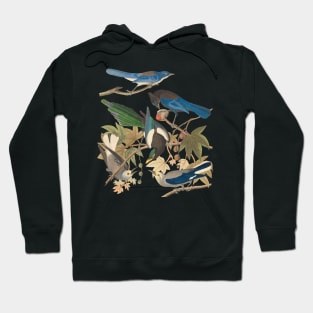 Birds of John James Audubon Hoodie